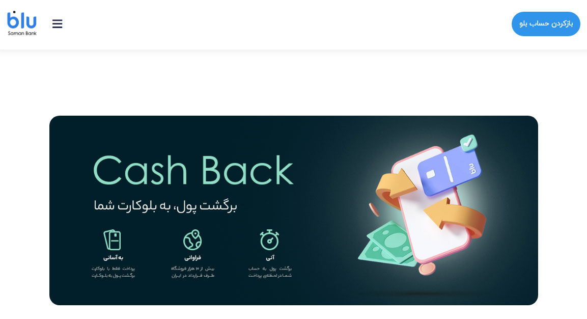 blu Bank Website